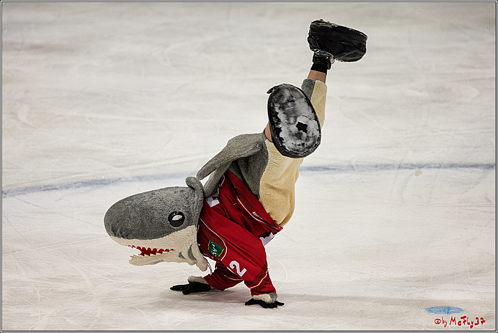 DEL, Koelner Haie - ERC Ingolstadt, 20.01.2017